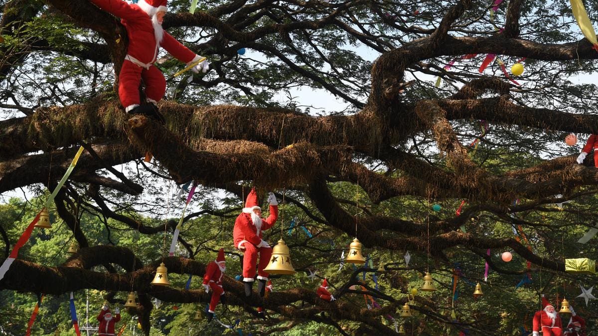 A Fort Kochi is a quick guide of Christmas